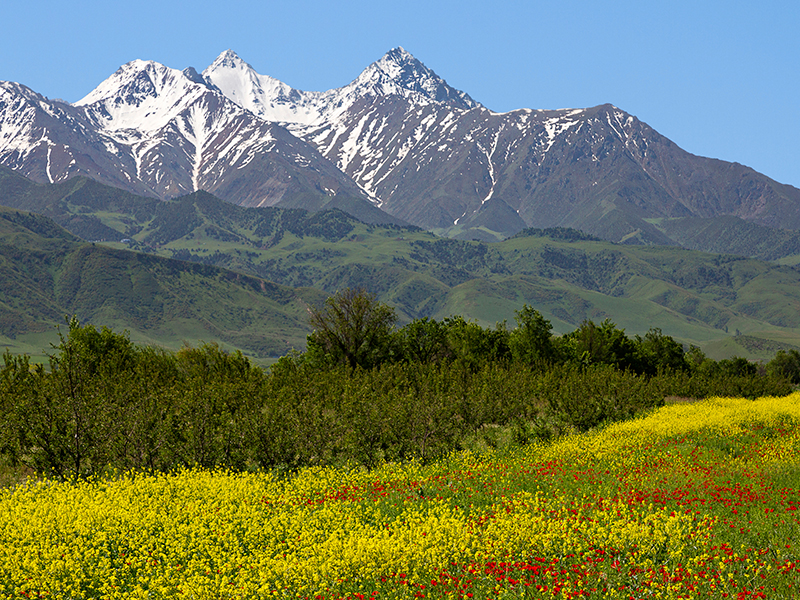 Bishkek, Kyrgyzstan