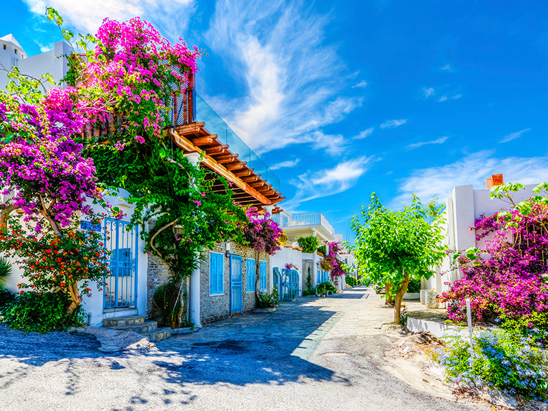 Turkey